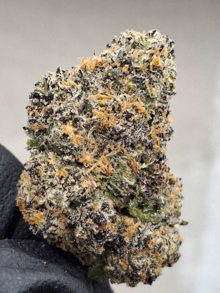 Dragon's Breath