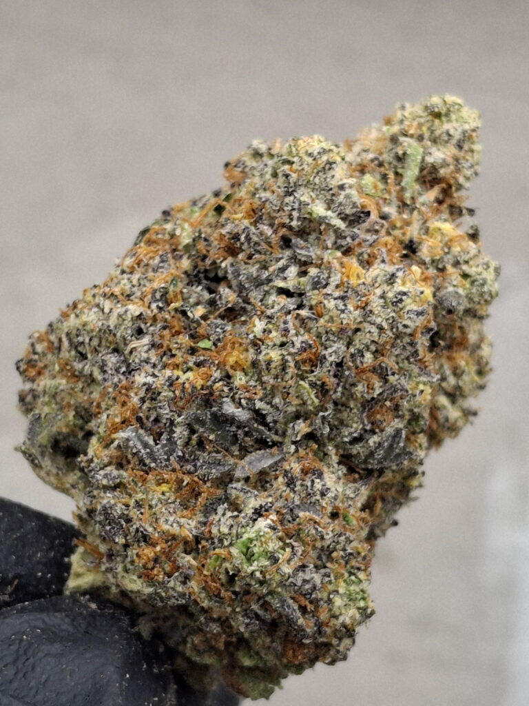 Bubblegum
