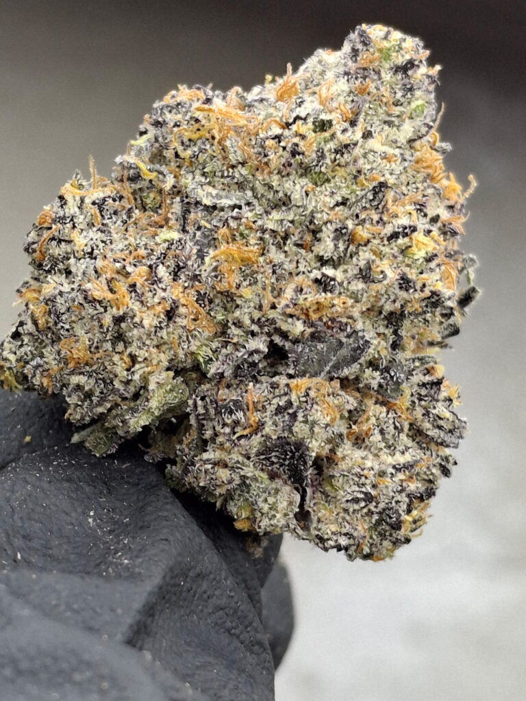 Grandmas Cookies